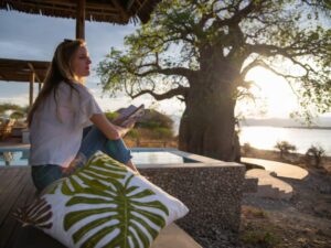 Read more about the article Avoiding Scammers on Safari: A Guide for Solo Travelers