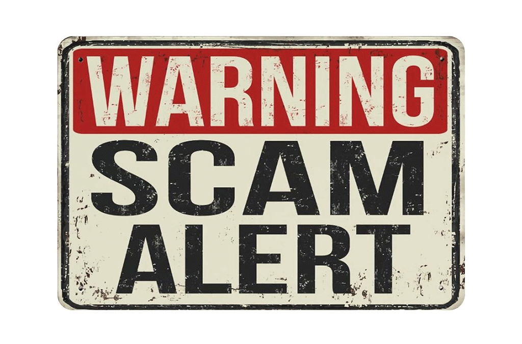 Read more about the article Top 5 Safari Scams Travelers Should Watch Out For