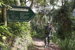 Read more about the article Best Time of Year to Go Mountain Hiking in Rwanda