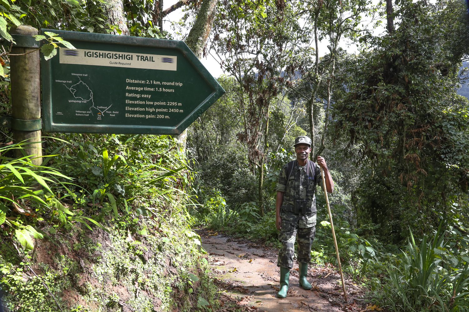 You are currently viewing Best Time of Year to Go Mountain Hiking in Rwanda