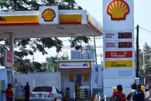 Read more about the article Budgeting for a Safari: Fuel, Vehicle, and Driver Costs Explained