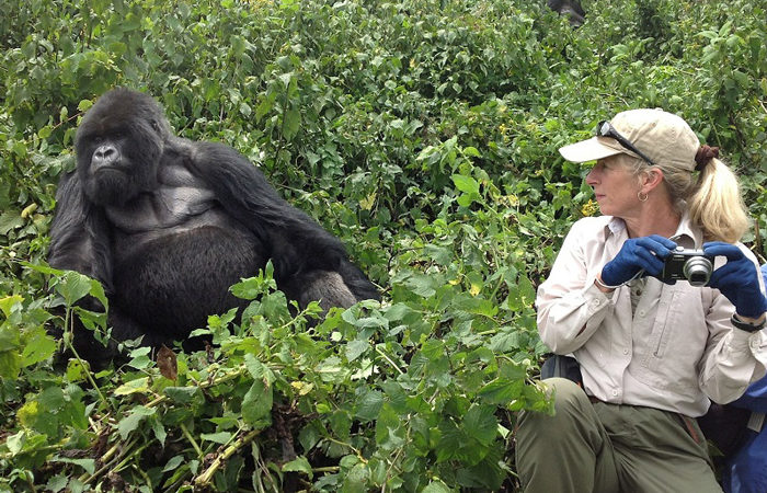 Read more about the article How to Secure Gorilla Trekking Permits in the 2026 High Season Before They Sell Out
