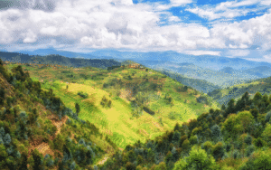 Read more about the article 10 Reasons You Should Visit Rwanda in 2026
