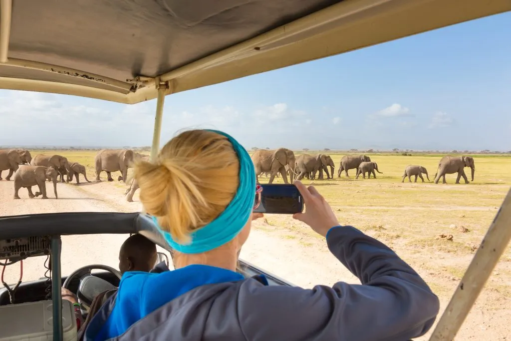 Read more about the article  How to Shoot High-Quality Safari Content With Just Your Phone
