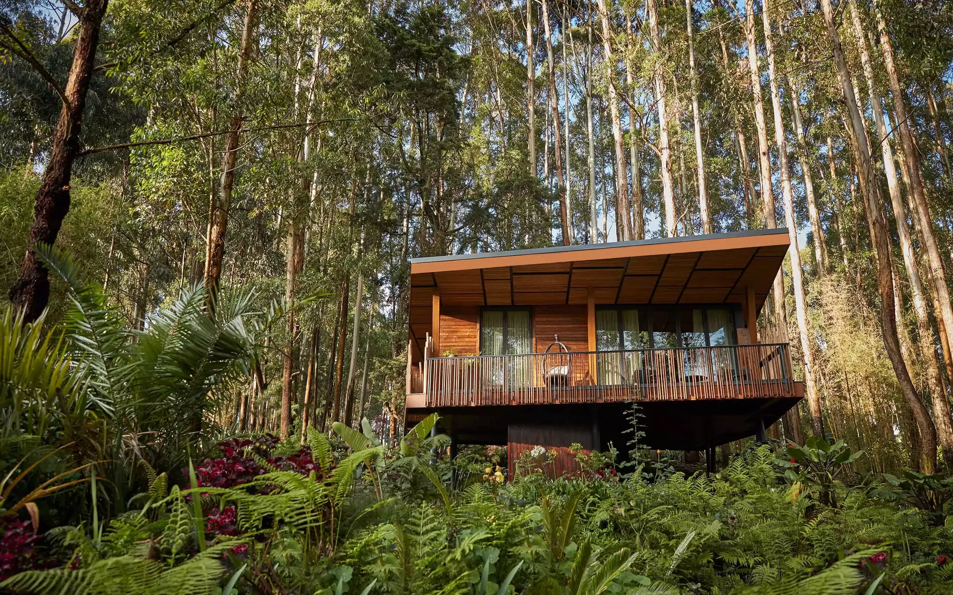 You are currently viewing Best Gorilla Trekking Lodges to Look Out for in 2026.