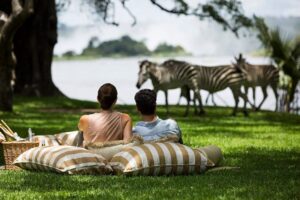 Read more about the article What Does a Private Safari Really Mean in 2026?