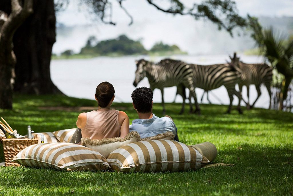 Read more about the article What Does a Private Safari Really Mean in 2026?