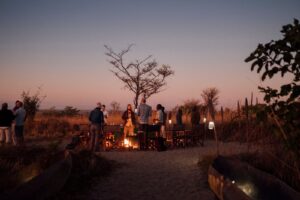 Read more about the article How to Make Your Safari Fun in 2026: Friendship Safari Tips