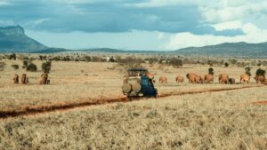 Read more about the article 5 Questions You Should Ask Any Safari Company in 2026
