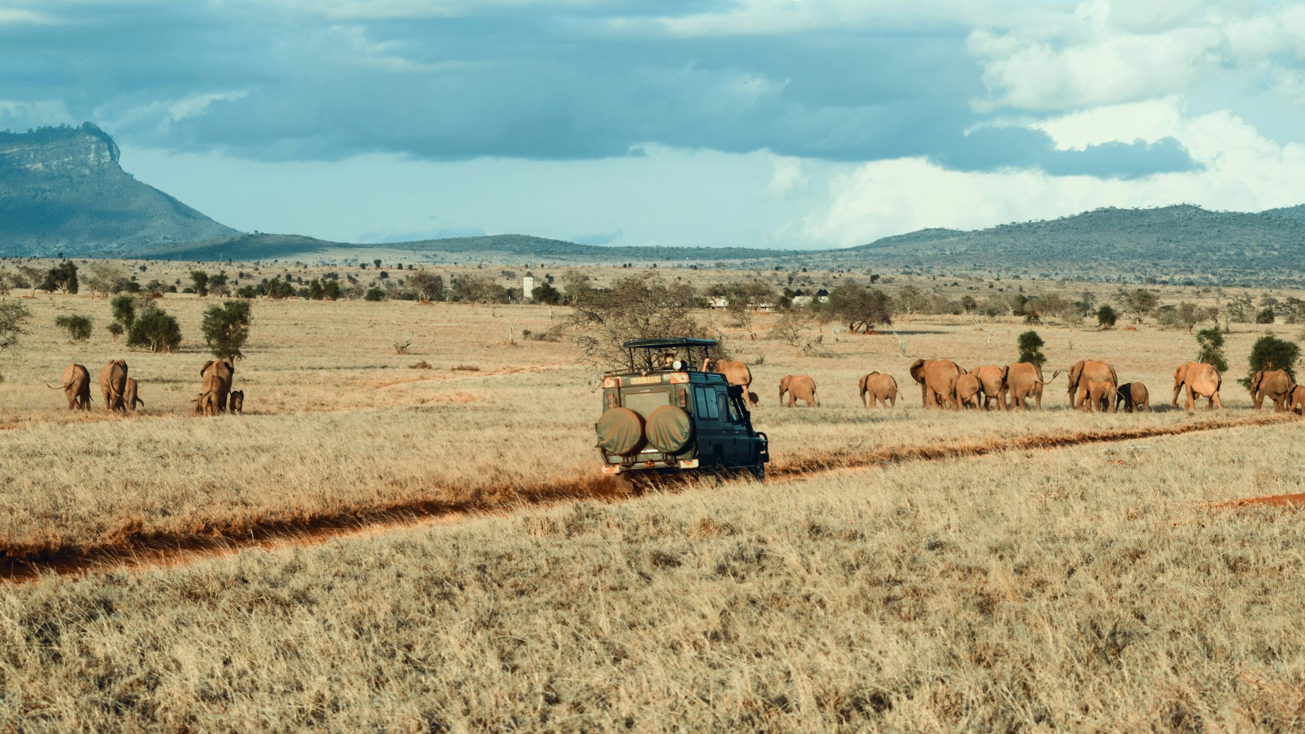 You are currently viewing 5 Questions You Should Ask Any Safari Company in 2026