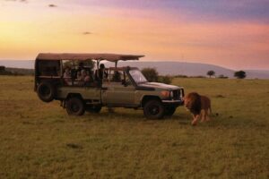 Read more about the article Top 7 Activities to Enjoy With Friends on an East Africa Safari in 2026.