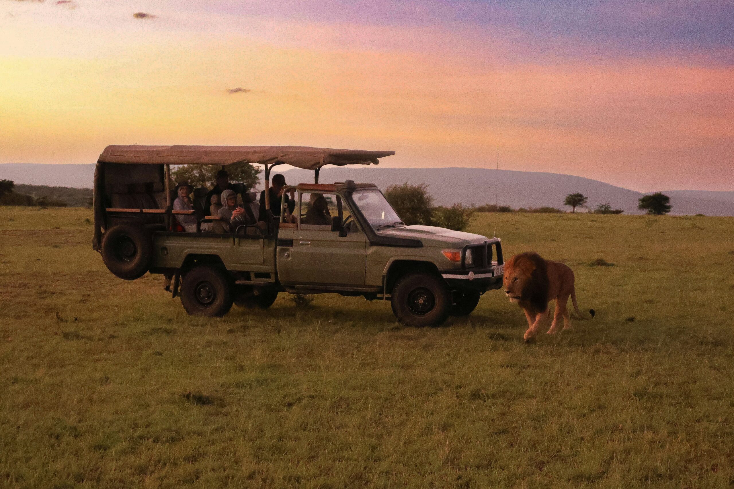Read more about the article Top 7 Activities to Enjoy With Friends on an East Africa Safari in 2026.