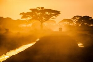 Read more about the article Will the Iran War Affect Your Safari? What Travelers Should Know in 2026.