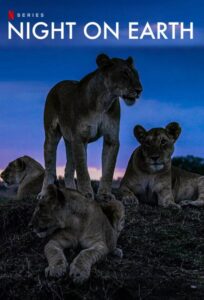 Read more about the article Top Safari TV Shows & Mini-Documentaries to Inspire Your East Africa Safari