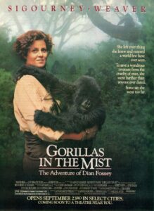 Read more about the article Must-Read Books for Gorilla Trekking in Uganda and Rwanda
