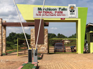 Read more about the article 15KM Electric Fence Installed in Murchison Falls National Park.