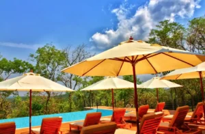 Read more about the article Pabidi Lodge: Murchison’s New 2026 Forest Retreat
