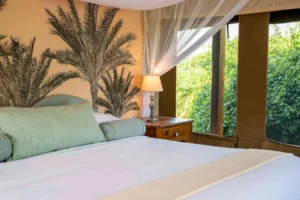 Read more about the article The River Station: Exclusive Eco-Luxury in Queen Elizabeth National Park (2026)