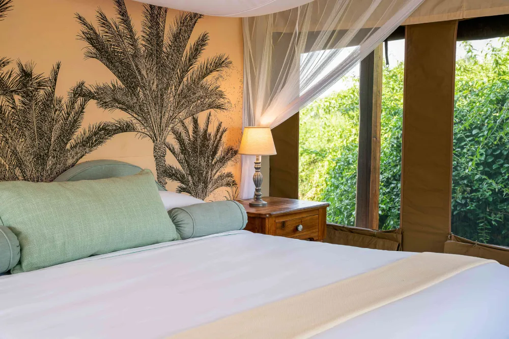 You are currently viewing The River Station: Exclusive Eco-Luxury in Queen Elizabeth National Park (2026)