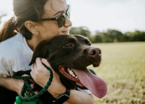 Read more about the article Can You Bring Pets on Safari?
