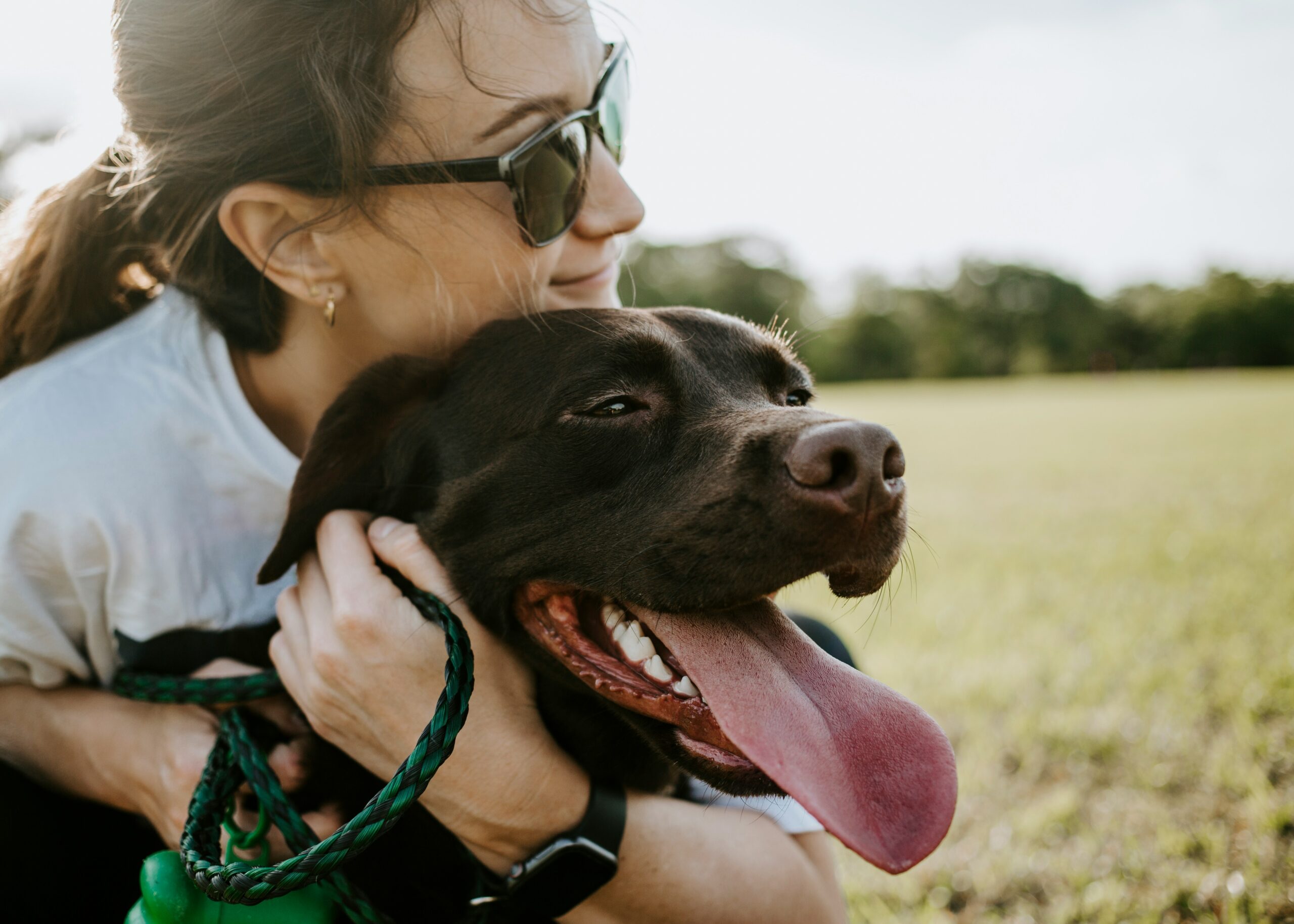 Read more about the article Can You Bring Pets on Safari?