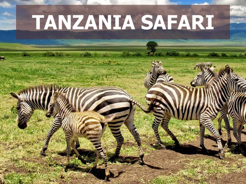 Read more about the article Lake Nakuru National Park