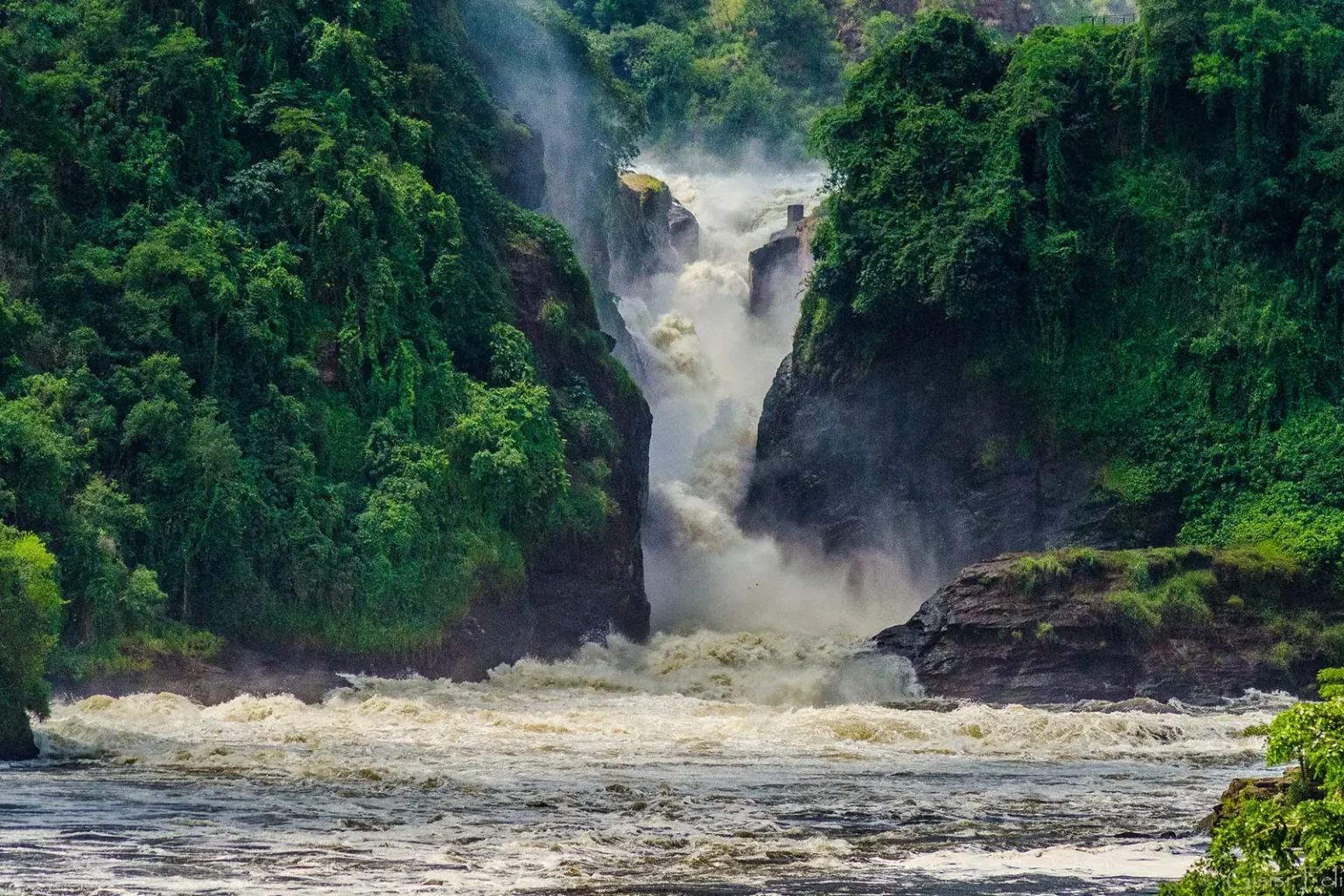 Read more about the article Murchison Falls National Park