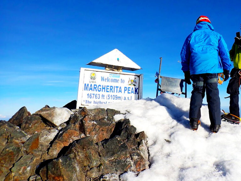 Read more about the article Rwenzori Mountains National Park