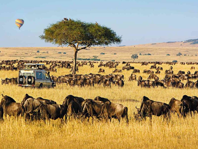 Read more about the article Serengeti National Park