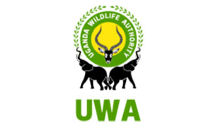 UWA