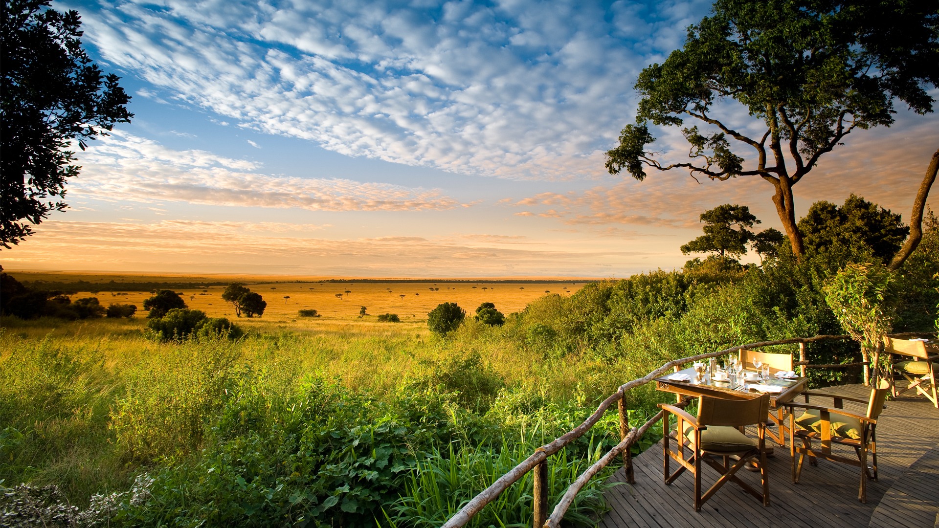 Read more about the article Expectations for Your Kenya Safari: What to Know Before You Go