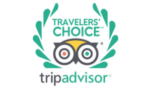 tripadvisor