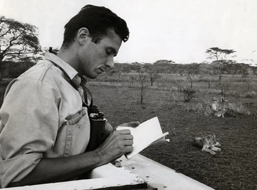 Read more about the article George Schaller: The Scientist Who Introduced Mountain Gorillas to the World.