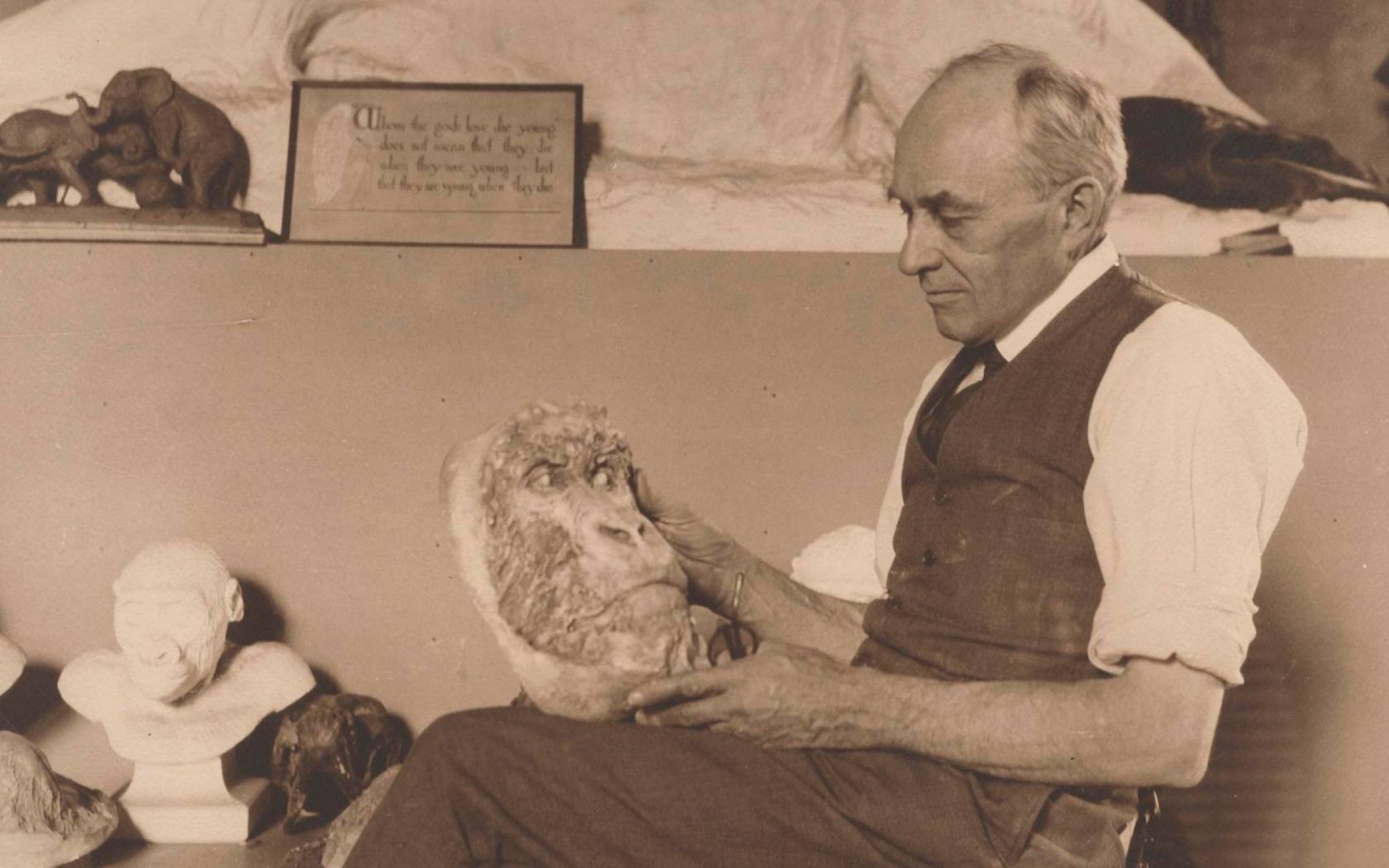 Read more about the article Carl Akeley and the Birth of Mountain Gorilla Conservation
