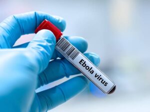 Read more about the article Uganda Safari Update June 2026: No New Ebola Cases Reported in the Past 10 Days.
